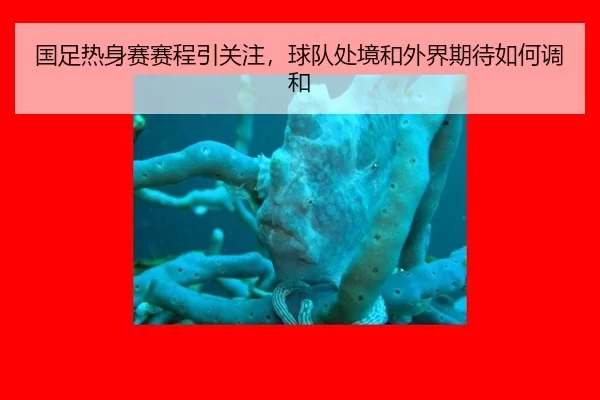 国足热身赛赛程引关注，球队处境和外界期待如何调和